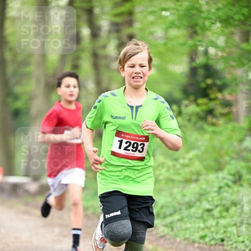 13.04.2025 - Hammer Lauf Dr. Thomas Lammeyer http://msf.ph/oto/7628337 13.04.2025 09:22:01 Laufen 15, 1293 meine-sportfotos.de
