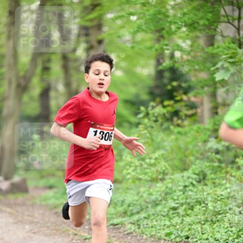13.04.2025 - Hammer Lauf Dr. Thomas Lammeyer http://msf.ph/oto/7628343 13.04.2025 09:22:01 Laufen 15, 1306 meine-sportfotos.de