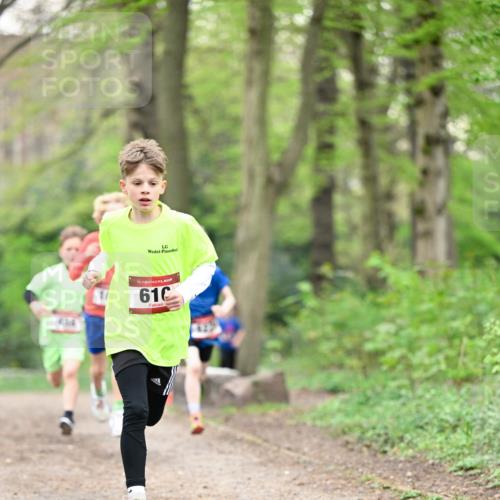 13.04.2025 - Hammer Lauf Dr. Thomas Lammeyer http://msf.ph/oto/7628370 13.04.2025 09:22:03 Laufen 41510, 15, 610 meine-sportfotos.de