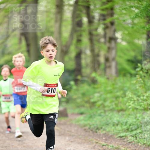 13.04.2025 - Hammer Lauf Dr. Thomas Lammeyer http://msf.ph/oto/7628379 13.04.2025 09:22:04 Laufen 1072, 15, 610 meine-sportfotos.de