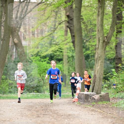 13.04.2025 - Hammer Lauf Dr. Thomas Lammeyer http://msf.ph/oto/7628418 13.04.2025 09:22:09 Laufen 822, 782, 1915 meine-sportfotos.de
