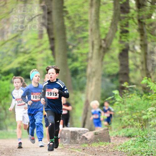 13.04.2025 - Hammer Lauf Dr. Thomas Lammeyer http://msf.ph/oto/7628467 13.04.2025 09:22:14 Laufen 1012, 1915, 687 meine-sportfotos.de