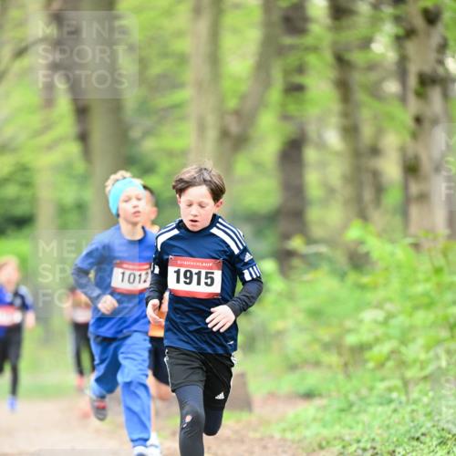 13.04.2025 - Hammer Lauf Dr. Thomas Lammeyer http://msf.ph/oto/7628493 13.04.2025 09:22:15 Laufen 1012, 15, 1915 meine-sportfotos.de
