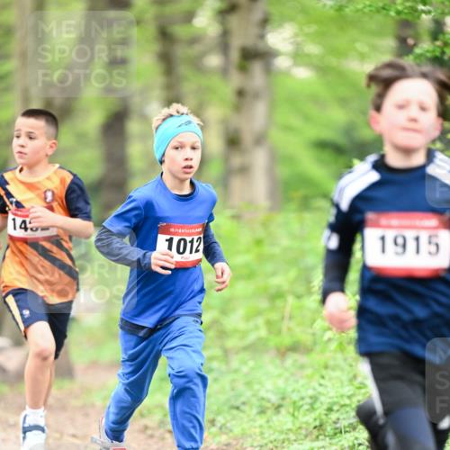 13.04.2025 - Hammer Lauf Dr. Thomas Lammeyer http://msf.ph/oto/7628510 13.04.2025 09:22:16 Laufen 145, 15, 1012, 1915 meine-sportfotos.de