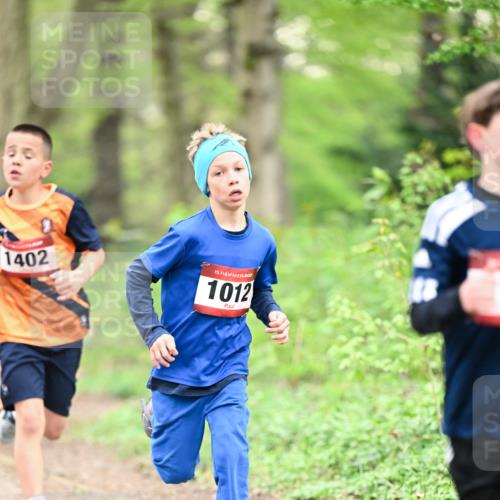 13.04.2025 - Hammer Lauf Dr. Thomas Lammeyer http://msf.ph/oto/7628511 13.04.2025 09:22:17 Laufen 1402, 15, 1012 meine-sportfotos.de