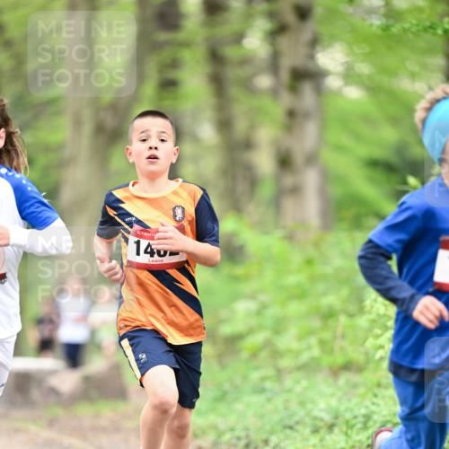 13.04.2025 - Hammer Lauf Dr. Thomas Lammeyer http://msf.ph/oto/7628516 13.04.2025 09:22:17 Laufen 15, 140 meine-sportfotos.de