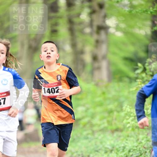 13.04.2025 - Hammer Lauf Dr. Thomas Lammeyer http://msf.ph/oto/7628519 13.04.2025 09:22:17 Laufen 37, 1402 meine-sportfotos.de