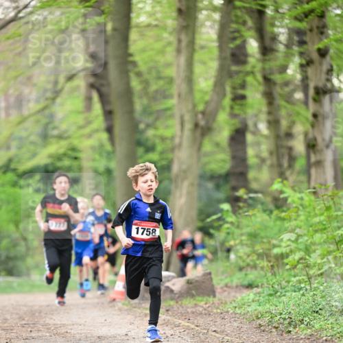 13.04.2025 - Hammer Lauf Dr. Thomas Lammeyer http://msf.ph/oto/7628530 13.04.2025 09:22:19 Laufen 1758 meine-sportfotos.de