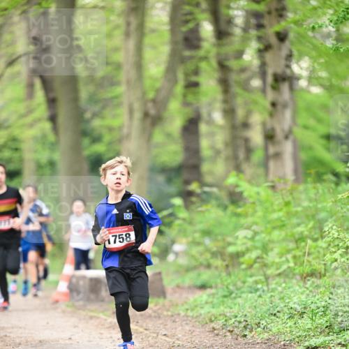 13.04.2025 - Hammer Lauf Dr. Thomas Lammeyer http://msf.ph/oto/7628534 13.04.2025 09:22:19 Laufen 1758 meine-sportfotos.de