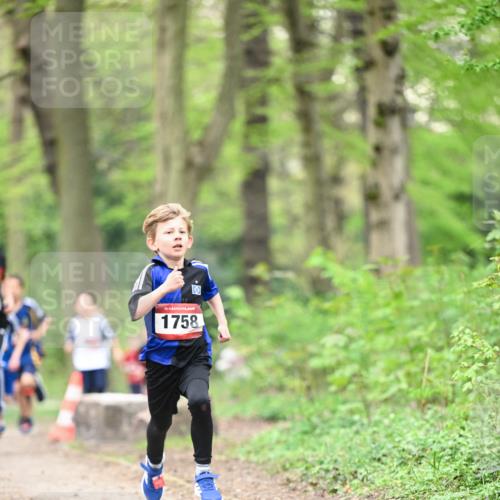13.04.2025 - Hammer Lauf Dr. Thomas Lammeyer http://msf.ph/oto/7628536 13.04.2025 09:22:19 Laufen 15, 1758 meine-sportfotos.de