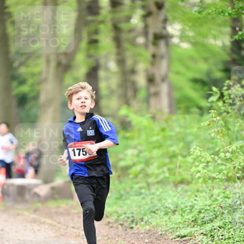 13.04.2025 - Hammer Lauf Dr. Thomas Lammeyer http://msf.ph/oto/7628545 13.04.2025 09:22:19 Laufen 15, 175 meine-sportfotos.de
