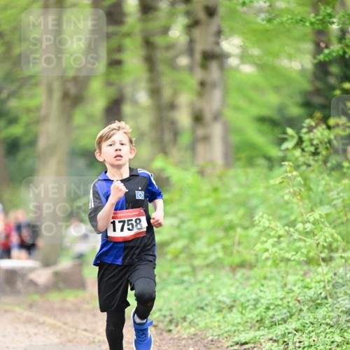 13.04.2025 - Hammer Lauf Dr. Thomas Lammeyer http://msf.ph/oto/7628548 13.04.2025 09:22:20 Laufen 1758 meine-sportfotos.de