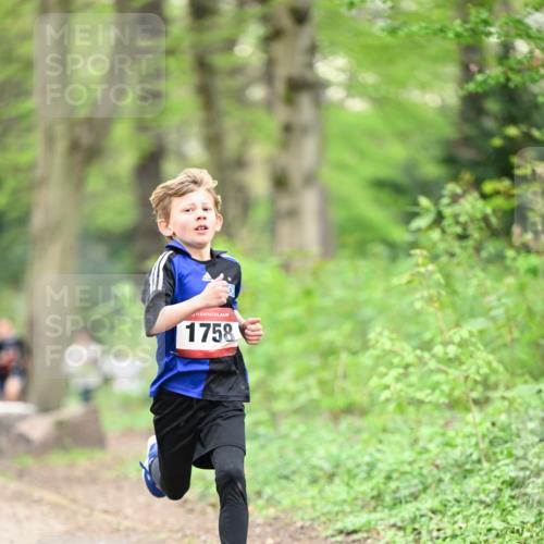 13.04.2025 - Hammer Lauf Dr. Thomas Lammeyer http://msf.ph/oto/7628551 13.04.2025 09:22:20 Laufen 1758 meine-sportfotos.de