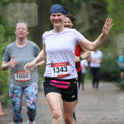 13.04.2025 - Hammer Lauf Jannik Wohlers http://msf.ph/oto/7628563 13.04.2025 12:44:43 Laufen 1088, 15, 1343, 340 meine-sportfotos.de