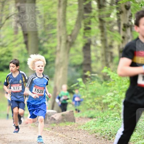 13.04.2025 - Hammer Lauf Dr. Thomas Lammeyer http://msf.ph/oto/7628591 13.04.2025 09:22:23 Laufen 672, 1528 meine-sportfotos.de