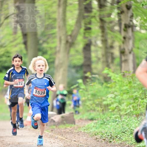 13.04.2025 - Hammer Lauf Dr. Thomas Lammeyer http://msf.ph/oto/7628593 13.04.2025 09:22:23 Laufen 72, 1528 meine-sportfotos.de