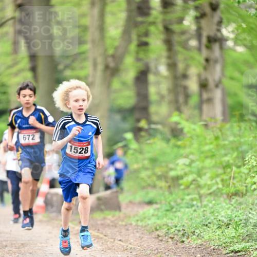 13.04.2025 - Hammer Lauf Dr. Thomas Lammeyer http://msf.ph/oto/7628601 13.04.2025 09:22:23 Laufen 672, 1528, 95 meine-sportfotos.de
