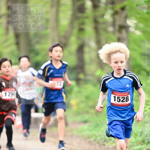 13.04.2025 - Hammer Lauf Dr. Thomas Lammeyer http://msf.ph/oto/7628620 13.04.2025 09:22:24 Laufen 1790, 15, 1528 meine-sportfotos.de