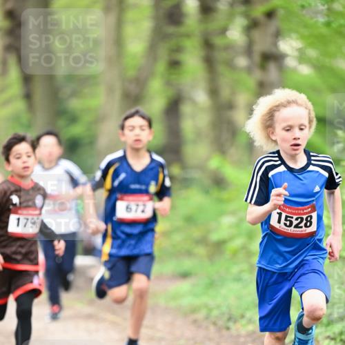13.04.2025 - Hammer Lauf Dr. Thomas Lammeyer http://msf.ph/oto/7628623 13.04.2025 09:22:25 Laufen 1790, 672, 15, 1528 meine-sportfotos.de