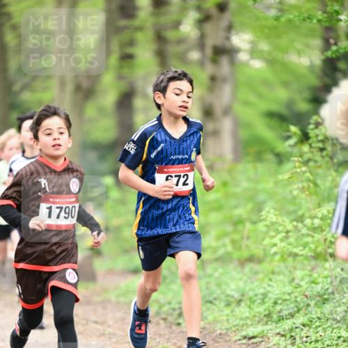 13.04.2025 - Hammer Lauf Dr. Thomas Lammeyer http://msf.ph/oto/7628632 13.04.2025 09:22:25 Laufen 15, 1790, 15, 72 meine-sportfotos.de