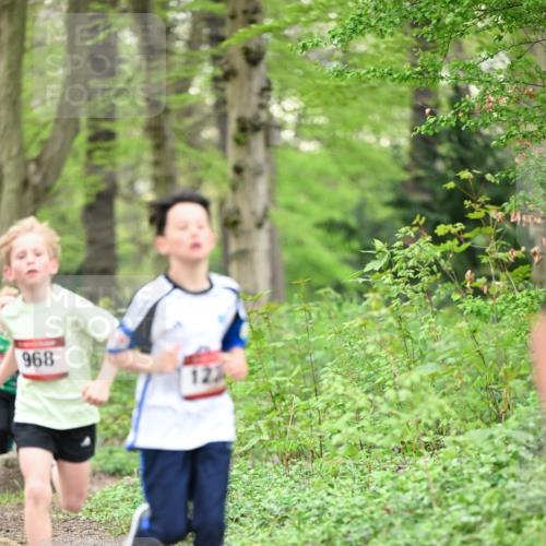 13.04.2025 - Hammer Lauf Dr. Thomas Lammeyer http://msf.ph/oto/7628650 13.04.2025 09:22:27 Laufen 968, 123 meine-sportfotos.de