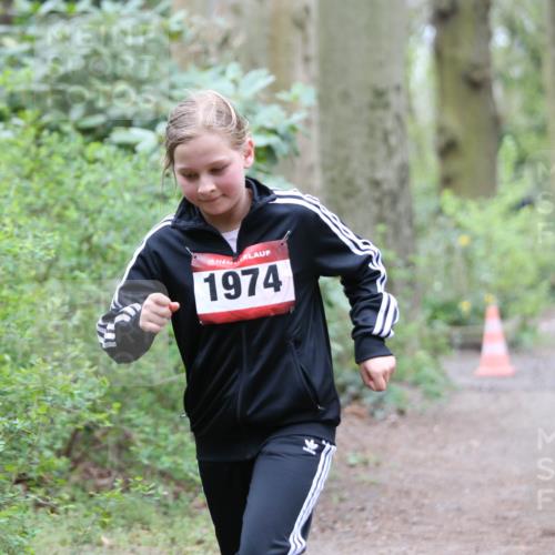 13.04.2025 - Hammer Lauf Jannik Wohlers http://msf.ph/oto/7628664 13.04.2025 12:44:20 Laufen 15, 1974 meine-sportfotos.de