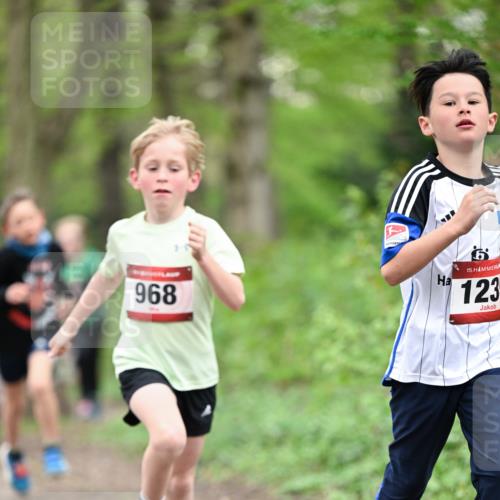13.04.2025 - Hammer Lauf Dr. Thomas Lammeyer http://msf.ph/oto/7628665 13.04.2025 09:22:28 Laufen 968, 15, 123 meine-sportfotos.de