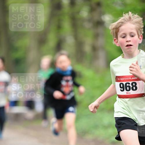 13.04.2025 - Hammer Lauf Dr. Thomas Lammeyer http://msf.ph/oto/7628672 13.04.2025 09:22:28 Laufen 15, 968 meine-sportfotos.de