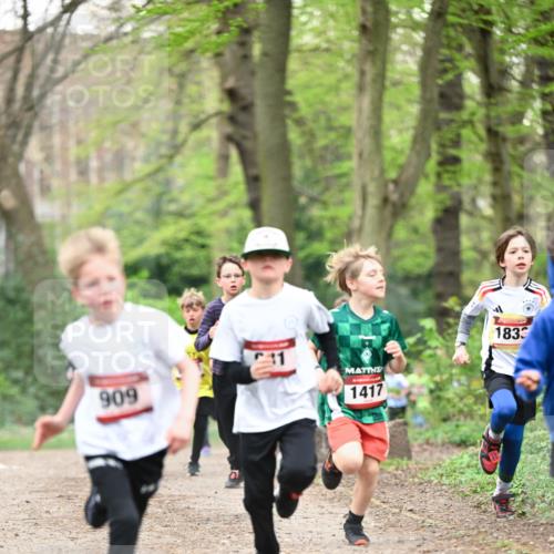 13.04.2025 - Hammer Lauf Dr. Thomas Lammeyer http://msf.ph/oto/7628724 13.04.2025 09:22:33 Laufen 909, 1417, 1833 meine-sportfotos.de