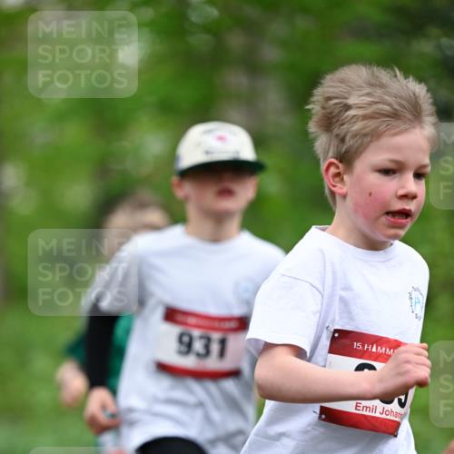 13.04.2025 - Hammer Lauf Dr. Thomas Lammeyer http://msf.ph/oto/7628746 13.04.2025 09:22:35 Laufen 931, 15 meine-sportfotos.de