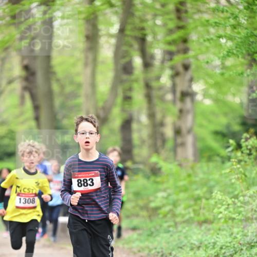 13.04.2025 - Hammer Lauf Dr. Thomas Lammeyer http://msf.ph/oto/7628754 13.04.2025 09:22:36 Laufen 1308, 15, 883 meine-sportfotos.de