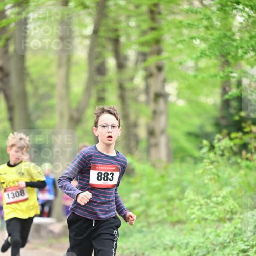 13.04.2025 - Hammer Lauf Dr. Thomas Lammeyer http://msf.ph/oto/7628759 13.04.2025 09:22:36 Laufen 1308, 15, 883 meine-sportfotos.de