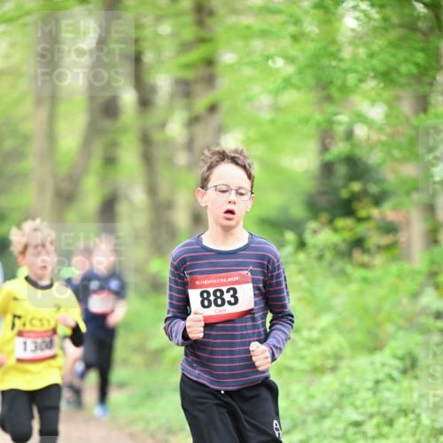 13.04.2025 - Hammer Lauf Dr. Thomas Lammeyer http://msf.ph/oto/7628766 13.04.2025 09:22:36 Laufen 725, 130, 15, 883 meine-sportfotos.de