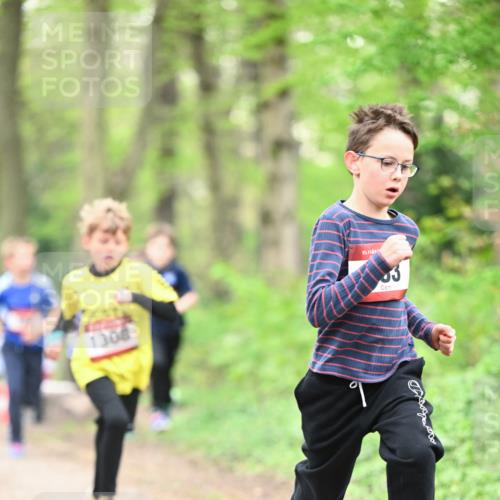 13.04.2025 - Hammer Lauf Dr. Thomas Lammeyer http://msf.ph/oto/7628768 13.04.2025 09:22:37 Laufen 637, 1308, 15 meine-sportfotos.de