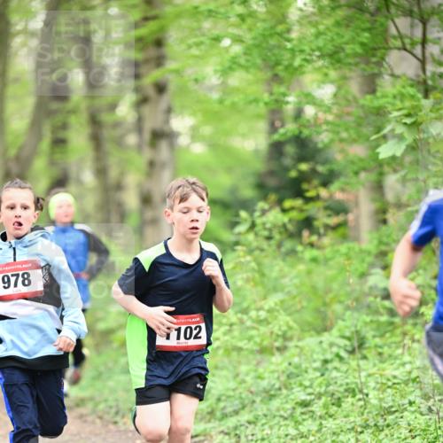 13.04.2025 - Hammer Lauf Dr. Thomas Lammeyer http://msf.ph/oto/7628813 13.04.2025 09:22:40 Laufen 15, 978, 102 meine-sportfotos.de