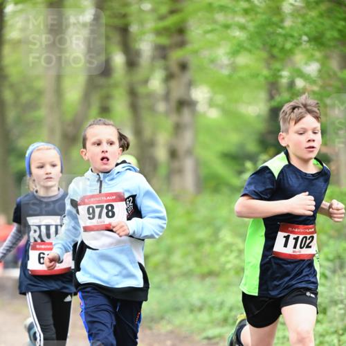13.04.2025 - Hammer Lauf Dr. Thomas Lammeyer http://msf.ph/oto/7628819 13.04.2025 09:22:40 Laufen 6, 15, 978, 15, 1102 meine-sportfotos.de