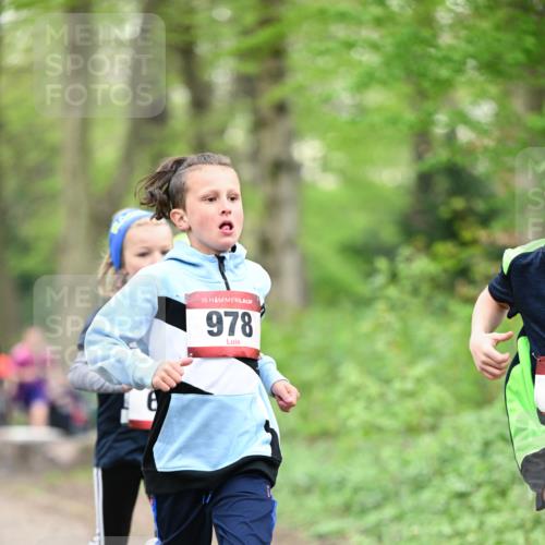 13.04.2025 - Hammer Lauf Dr. Thomas Lammeyer http://msf.ph/oto/7628824 13.04.2025 09:22:40 Laufen 15, 978 meine-sportfotos.de