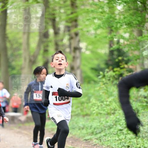 13.04.2025 - Hammer Lauf Dr. Thomas Lammeyer http://msf.ph/oto/7628849 13.04.2025 09:22:42 Laufen 153, 15, 1004 meine-sportfotos.de