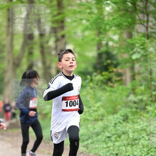 13.04.2025 - Hammer Lauf Dr. Thomas Lammeyer http://msf.ph/oto/7628854 13.04.2025 09:22:43 Laufen 153, 15, 1004 meine-sportfotos.de