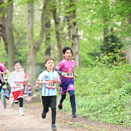 13.04.2025 - Hammer Lauf Dr. Thomas Lammeyer http://msf.ph/oto/7628883 13.04.2025 09:22:45 Laufen 424, 55, 15, 910 meine-sportfotos.de