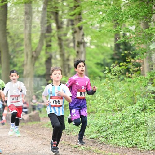 13.04.2025 - Hammer Lauf Dr. Thomas Lammeyer http://msf.ph/oto/7628885 13.04.2025 09:22:45 Laufen 424, 10, 15, 755, 910 meine-sportfotos.de