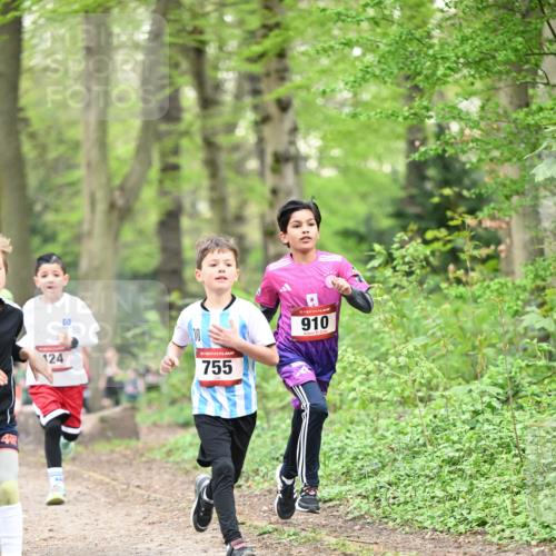 13.04.2025 - Hammer Lauf Dr. Thomas Lammeyer http://msf.ph/oto/7628888 13.04.2025 09:22:46 Laufen 4, 124, 755, 15, 910 meine-sportfotos.de