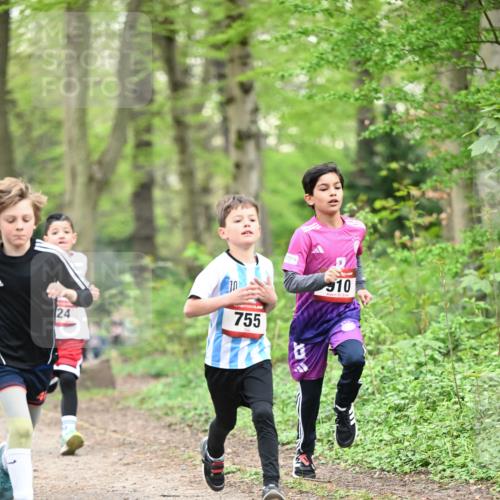 13.04.2025 - Hammer Lauf Dr. Thomas Lammeyer http://msf.ph/oto/7628892 13.04.2025 09:22:46 Laufen 24, 755, 910 meine-sportfotos.de
