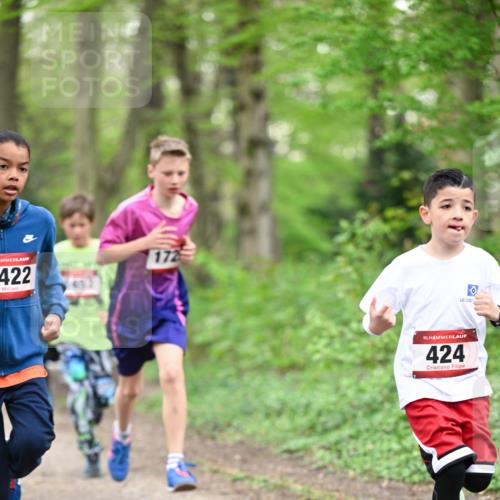 13.04.2025 - Hammer Lauf Dr. Thomas Lammeyer http://msf.ph/oto/7628920 13.04.2025 09:22:48 Laufen 422, 172, 15, 424 meine-sportfotos.de