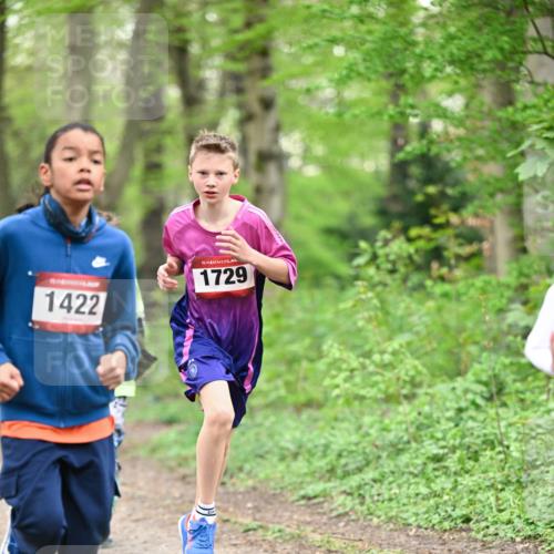 13.04.2025 - Hammer Lauf Dr. Thomas Lammeyer http://msf.ph/oto/7628925 13.04.2025 09:22:48 Laufen 1422, 15, 1729 meine-sportfotos.de