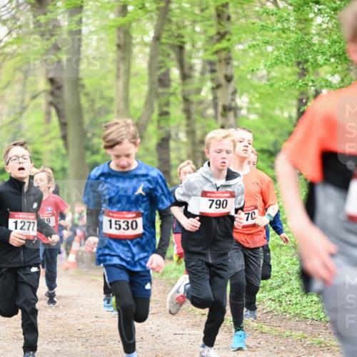 13.04.2025 - Hammer Lauf Dr. Thomas Lammeyer http://msf.ph/oto/7628961 13.04.2025 09:22:51 Laufen 1277, 9, 1530, 790, 70 meine-sportfotos.de