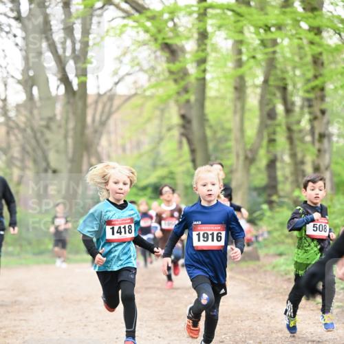 13.04.2025 - Hammer Lauf Dr. Thomas Lammeyer http://msf.ph/oto/7628993 13.04.2025 09:22:54 Laufen 15, 1418, 15, 1916, 508 meine-sportfotos.de