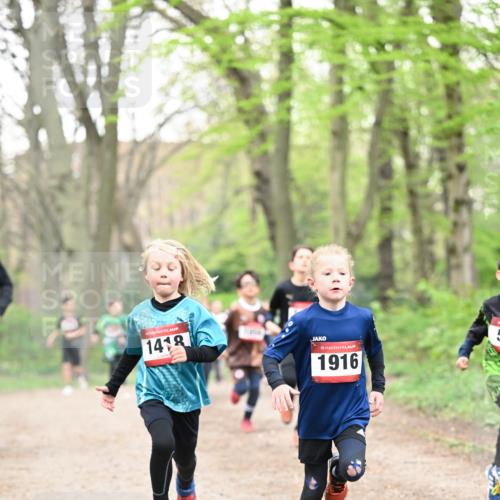 13.04.2025 - Hammer Lauf Dr. Thomas Lammeyer http://msf.ph/oto/7628999 13.04.2025 09:22:54 Laufen 1418, 15, 1916 meine-sportfotos.de