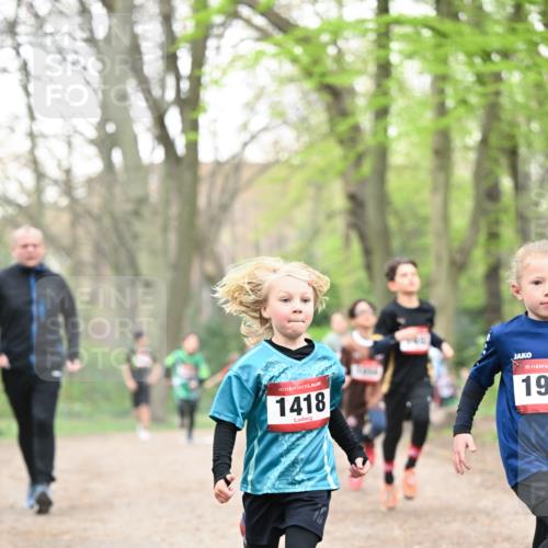 13.04.2025 - Hammer Lauf Dr. Thomas Lammeyer http://msf.ph/oto/7629004 13.04.2025 09:22:54 Laufen 15, 1418, 15, 19 meine-sportfotos.de