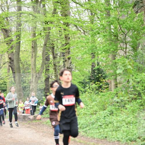13.04.2025 - Hammer Lauf Dr. Thomas Lammeyer http://msf.ph/oto/7629021 13.04.2025 09:22:56 Laufen 87, 108, 1709, 1492 meine-sportfotos.de